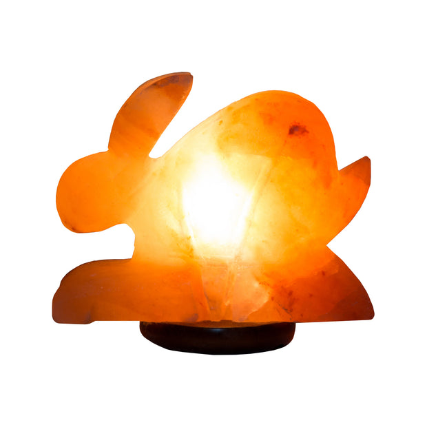 Rabbit shaped Colour Changing LED Salt Lamp - Klass Home