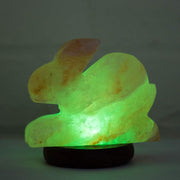 Rabbit shaped Colour Changing LED Salt Lamp - Klass Home