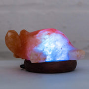 Turtle shaped Colour Changing LED Salt Lamp - Klass Home